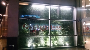 Vitrina vegetal Local Adagio Teas Mall Costanera Center